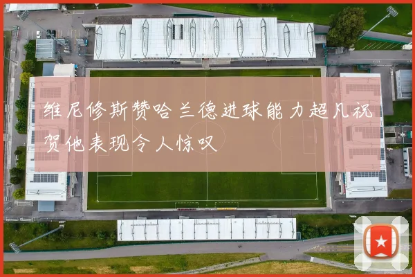 维尼修斯赞哈兰德进球能力超凡祝贺他表现令人惊叹