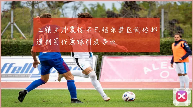 三镇主帅震惊不已绍尔禁区倒地却遭判罚任意球引发争议